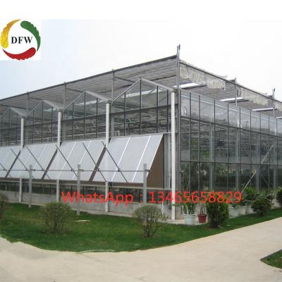 China Fruits Vegetable Flowers Planting Commercial Agricultural Greenhouse Glass Structure for sale