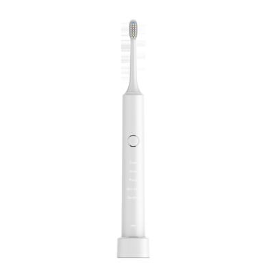 China Four Minutes 2022 Newest Day Fashion Oral High Quality Teeth Cleaner Private Label Electric Toothbrush IPX7 Dental Care With Travel Purpose for sale