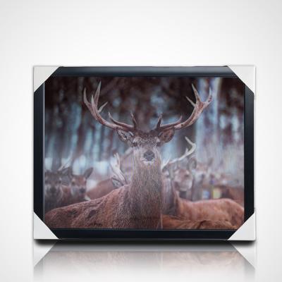 China Europe 3D Lenticular Image Design Animal Wholesales for sale