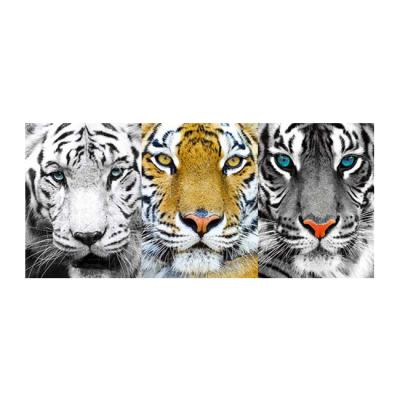 China Animal Lenticular 3d Image Free Samples Lion Design 3d World Images for sale