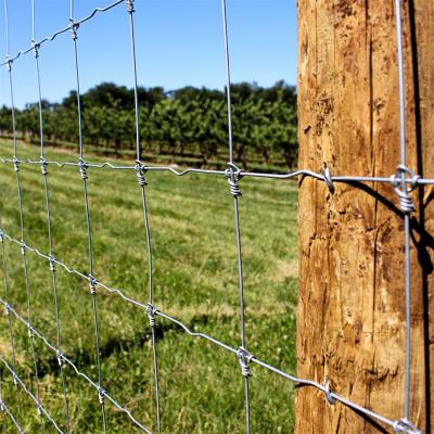 China Easily Assembled Hot Dipped Galvanized Fixed Knot Woven Wire Hog Wire Deer Fence for sale