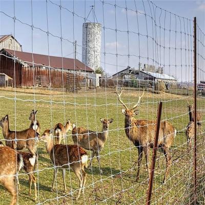 China Easily Assembled Cattle Ranch Galvanized Fixed Knot Steel Farm Deer Fencing Wire for sale