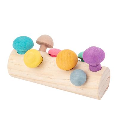 China DIY Educational Toys Best Sell Wholesale Wooden Rainbow Blocks Mushroom Picking Game Other Montessori Baby Educational Wooden Toys for sale