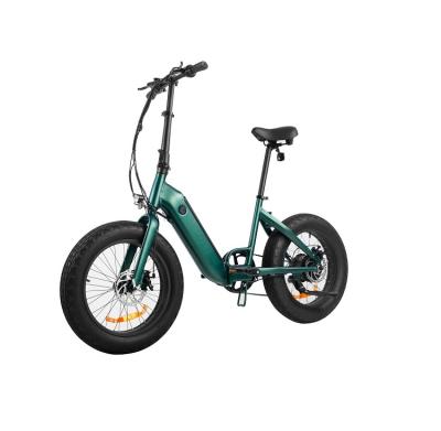 China Fat Tire E-bike 20