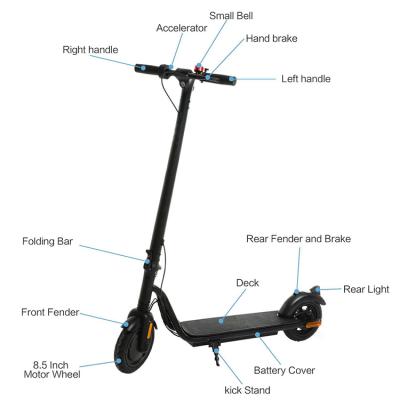 China Electric Scooters Chinese 36V 300W 25KM/H Max Speed 100 KG Load Hotfat Wheels Electric Scooter for Teenagers for sale