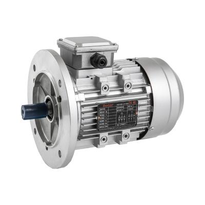 China Exquisite structure workmanship isolation 3 phase asynchronous hydraulic ac motor 3 phase for washing machine for sale