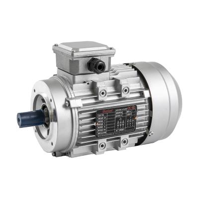 China Electric Insulation Y2 Series Three Phase Asynchronous Asynchronous AC Motor for sale