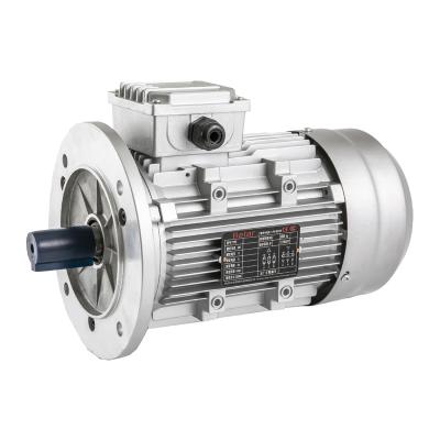 China Three Phase Insulation Y2 Series 3 Phase Electric Brushless AC Motor Insulation for sale