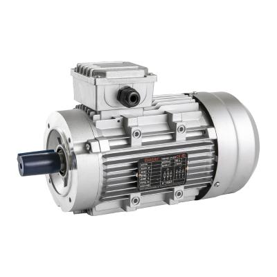 China Y2 Insulation Series Three Phase 3 Phase AC Electric Synchronous Motor For Sale for sale