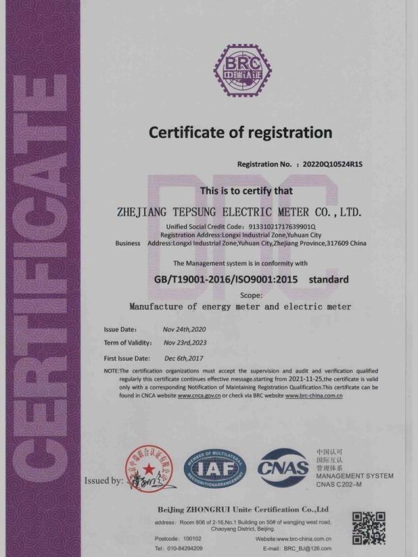 ISO9001 - Zhejiang Tepsung Electric Meter Co., Ltd.