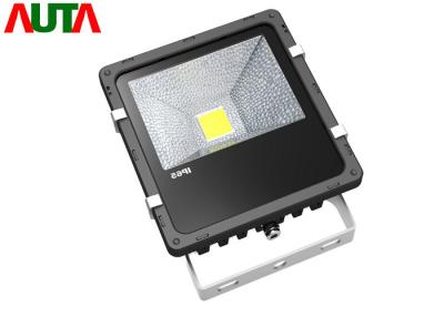 China Flutlicht 30W PF der Fabrik-industrielles LED ≥ 0,95 CER im Freien ROHS zu verkaufen