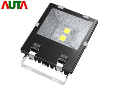 China Black Commercial Outdoor LED FloodLights 100W High Efficiency With Bridgelux Chip for sale