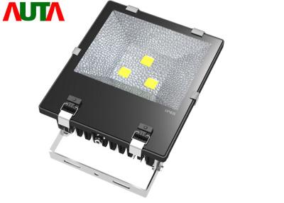 China AC90V - LED Flutlicht 295V im Freien, LED-Sicherheits-Flut-Licht zu verkaufen