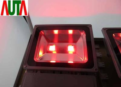 China 30V RGB Led Outside Flood Lights 10000LM Eco Friendly High Brightness for sale