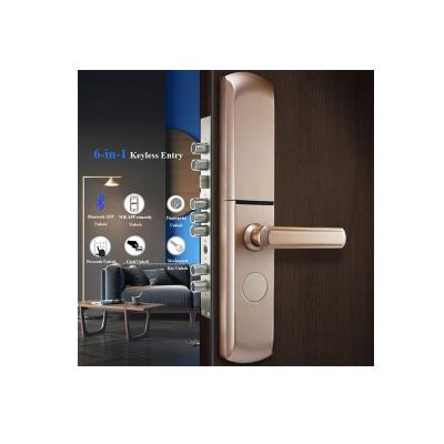 China Fashion Zinc Alloy Wholesale Smart Design Smart Door Lock Factorty Wi-Fi Electric Locks for sale