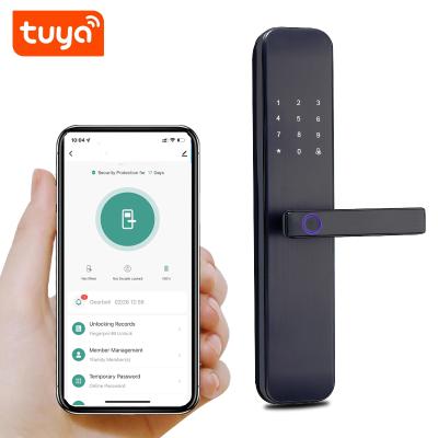 China Widely Used Tuya App Smart Lock Easy Use Multi-fuctional Popular Door Lock For Home Apartment for sale