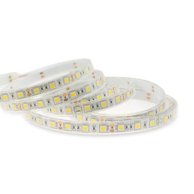 China LANDSCAPE IP20 SMD 5050 60LEDs/M Single Color RGB Flexible Led Strip Rope Strip 5M/Reel DC12V 24V for sale