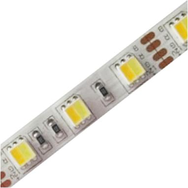 China 2 in 1 Dual Color CCT 5050 Two White Adjustable Dual Color Led Strip Dual Color Led Strip ww+w dc12v/dc24v 14.4W led strip for sale