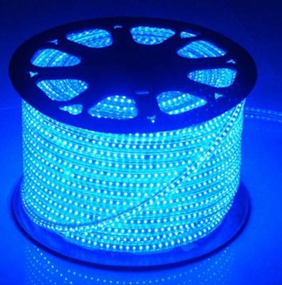 China Theme Park Cheap AC110V 220V Outdoor Decoration RGB SMD5050 Waterproof IP65 Led Flex Strip Light for sale