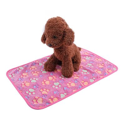 China Wholesale Cheap Viable Stocked Durable Washable Puppy Cat Blanket Throw Fleece Dog Blanket Pet Warm Soft Fluffy Blanket for sale