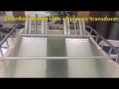 Immersible Ultrasonic Transducer