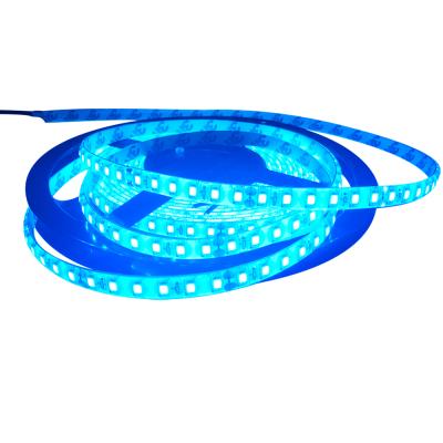 China Hotel products 60 leds/m DC12V SMD 2835 hot sale waterproof white flexible led strip for sale