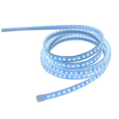 China Hotel High Bright Led Light Strip 5050 Led Strip Light IP65/IP67/IP68 for sale