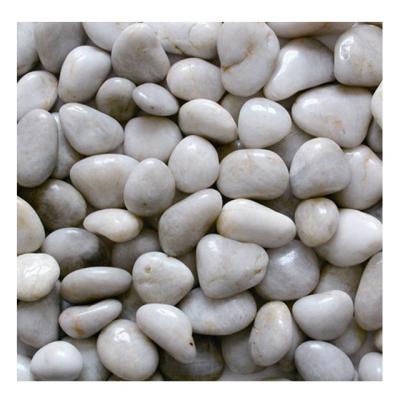 China Coastal Quartz Stone Lighting Pebble Stone For Swimming Pool And Bathroom for sale