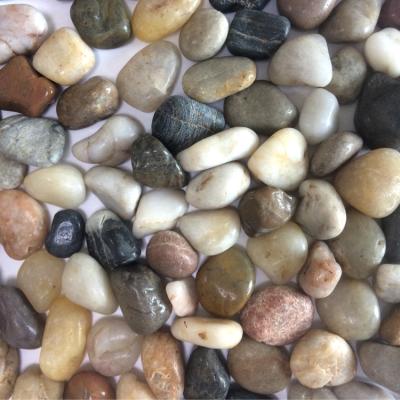 China River Coastal Loose Mixed Natural Polished Pebble In Cobblestone And Pebble Multi Color Pebble Stone for sale