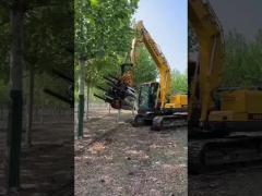 tree moving machine