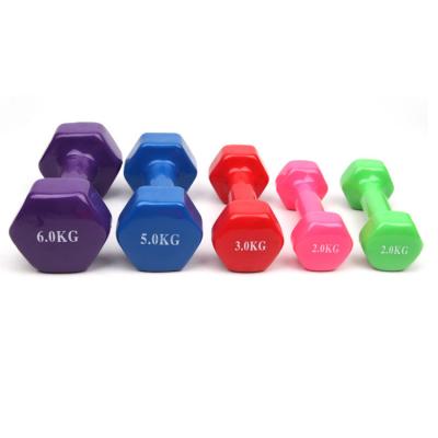 China More Wear Resistant Dipped Plastic Dumbbell Gym Dumbbell Hex Dumbells for sale