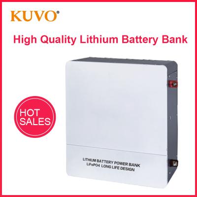 China High Quality Solar System Inverter Solar Use Home Appliances Lithium Battery Bank for sale