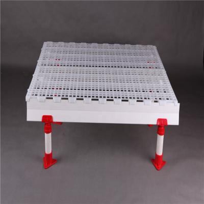 China Livestock Farm 1200 X 500mm Pe Plastic Poultry Slat Flooring For Broiler Farm for sale