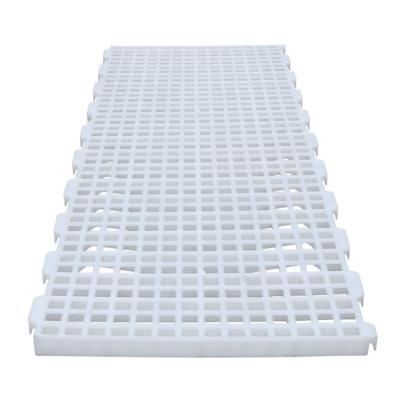 China Livestock Operation Chicken Farm Equipment Plastic Slat Flooring for sale