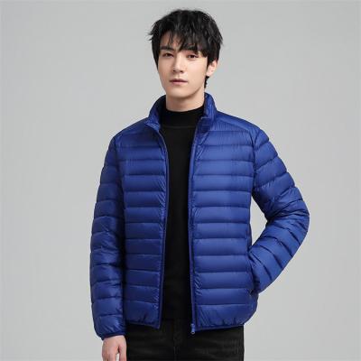 China Wholesale Custom Made Winter Waterproof Coats Men's Logo Down Coat Men's Puffer Jackets Importer Men's Black Blue Jacket for sale