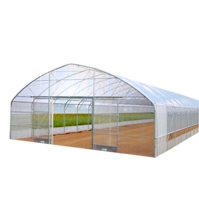 China Stable Structure Easily Assembled 24*60 Low Cost PO Film Fan And Wet Curtain System Multi Tunnel Commercial Greenhouse for sale