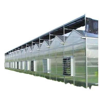 China Stable Structure Easily Assembled Portable Anti Insect Net Vegetable Tunnel Greenhouse for sale