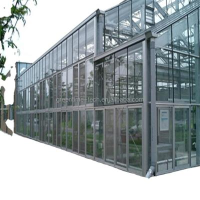 China Stable Structure Easily Assembled Tomato Planting Farm Manual Top Ventilation And Side Ventilation Multi Tunnel Planting Greenhouse for sale