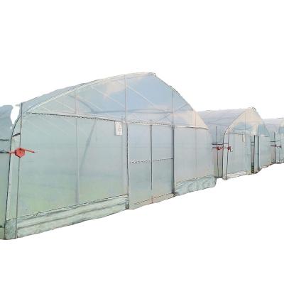 China Stable Structure Easily Assembled Tunnel Agricultural Production Greenhouse Large Size High Tomato To Grow Green House for sale