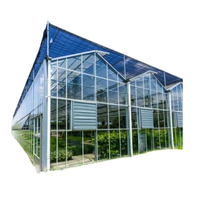 China Stable Structure Easily Assembled Hot Selling Wholesale Multispan Humidity Control Tunnel Greenhouse with Competitive Price for sale