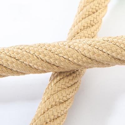 China Polyester & Stainless Steel Wire 16mm Playground Wetsuit Rope Covered With Transparent TPU For Soft Grip for sale