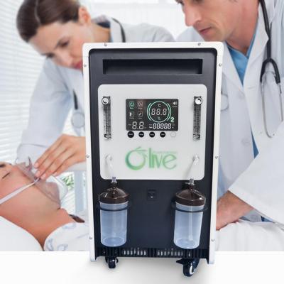 China Homecare CE Dual Oxygen Concentrator Hospital Equipment 24 Hours Double Operation for sale