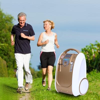 China Homecare And Outdoor Hydrogen Oxygen Concentrator Mini Car Chargeable Operated 1-5l/Min Adjust China Oxygen Machine for sale