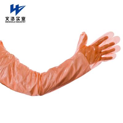 China Liquid-Resistant PE Disposable Gauntlets Elbow Length Pe Glove Food Handling Gloves Manufacturer for sale