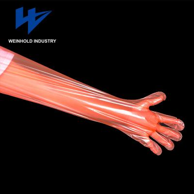 China Food Preparing Disposable Pe Long Sleeve Glove for sale