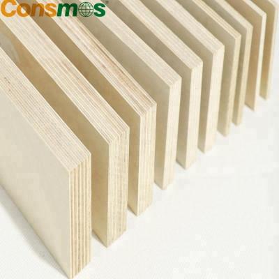 China CONSMOS First Class White Birch 1220X2440mm Contemporary 100% Russia Birch Plywood for sale