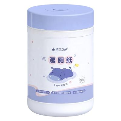 China Toilet Cleaning New Arrival High Quality 2023 Wholesale Toilet Wet Cloths For Daily Cleaning for sale