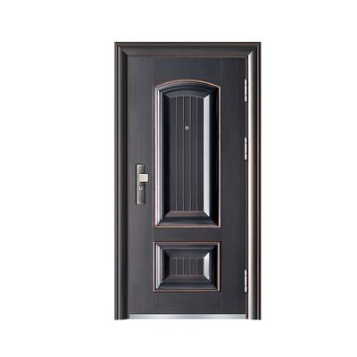 China Modern South Africa Steel Door Frame Machines Security Door Designs Steel Main Door for sale