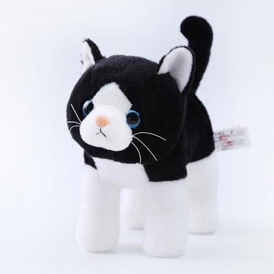 China Soft Plush Toy Cute Soft Touch Plush Toy Children Gifts Kids Cat Toy for sale