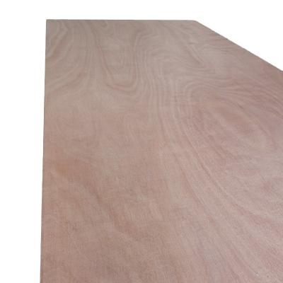 China China traditional plyboard plywood customized construction for sale